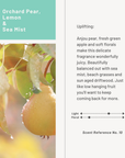 Hawksbill Sea Turtle | 9.0 oz. Candle
