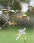 Dragonfly Hook Earrings - Sterling Silver