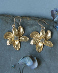 Starflower Earrings - Brass + Labradorite