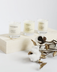 Escapist Votive Candle Set in Tuileries, Maui, & Santorini