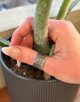 City Lights Band (Diamonds Half Way Around ) - 22ky, Oxidized Silver + VS Diamonds - KMJ Kate Maller Jewelry Jewelry - Rings