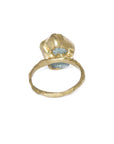 Guardian Ring - Aquamarine + Brass