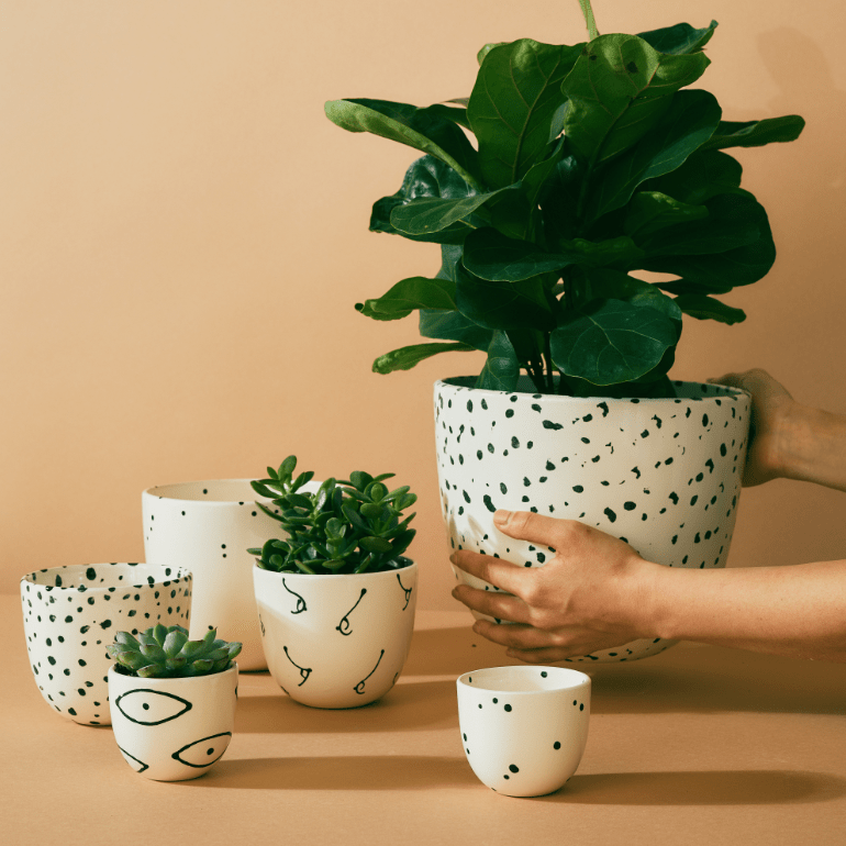 Let’s hear it for ceramics - KMJ