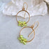 Truly Earrings Small - 14k Gold-Fill + Peridot - KMJ James & Jezebelle Jewelry - Earrings