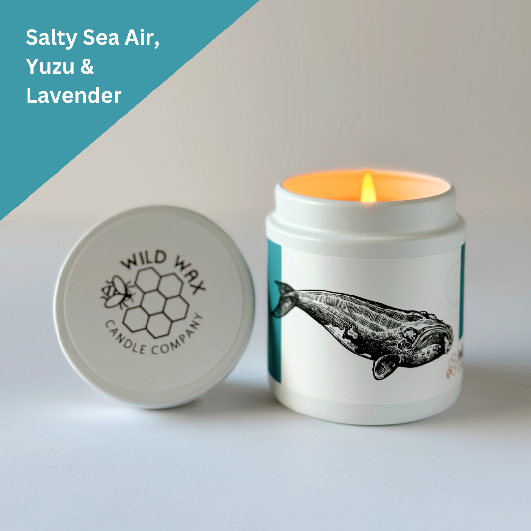 North Atlantic Right Whale | 9.0 oz. Candle