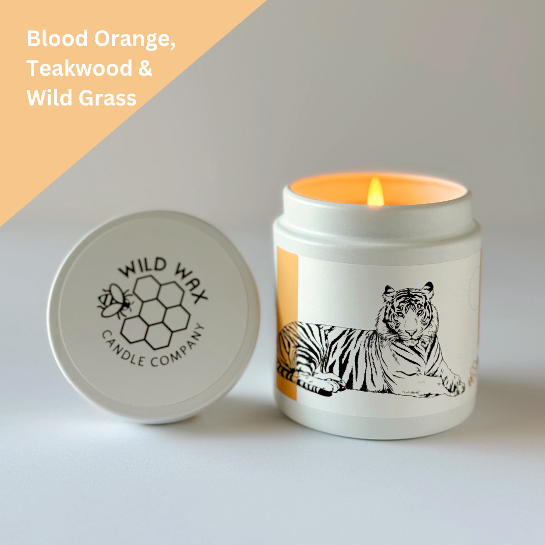 Malayan Tiger | 9.0 oz. Candle