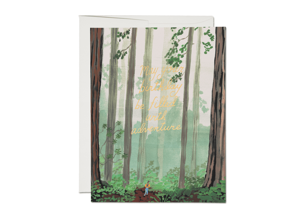 Birthday Adventure birthday greeting card - KMJ Red Cap Cards Card