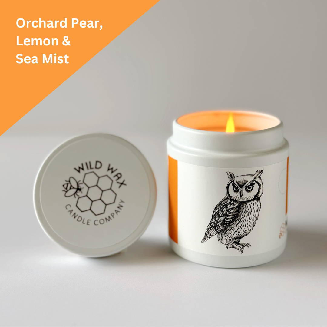 Flores Scops Owl | 9.0 oz. Candle