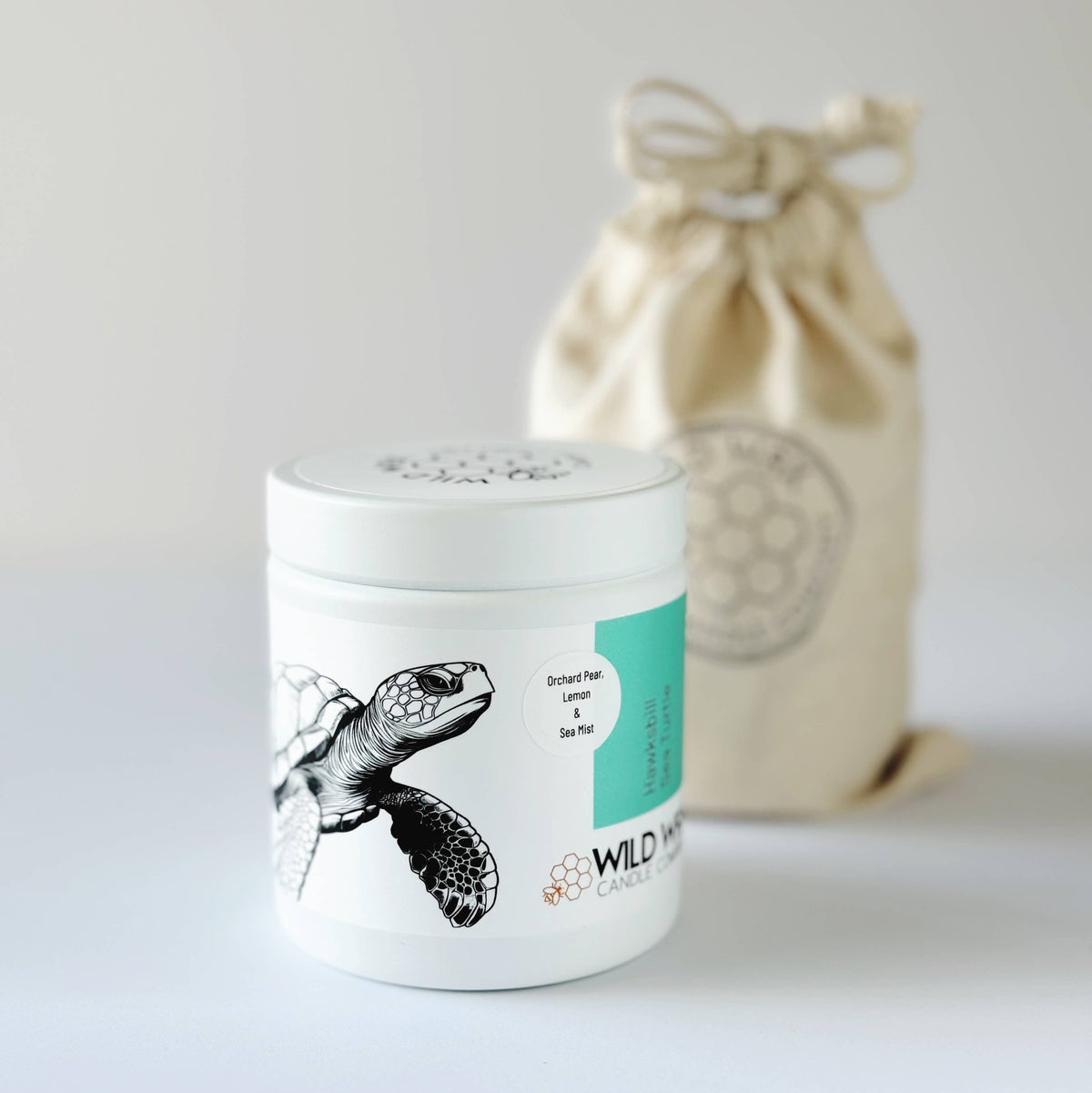 Hawksbill Sea Turtle | 9.0 oz. Candle