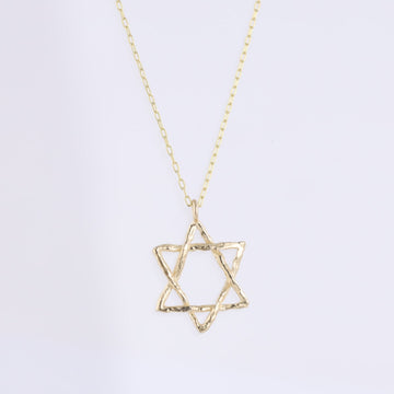 Large Branch Star of David - 14k Gold