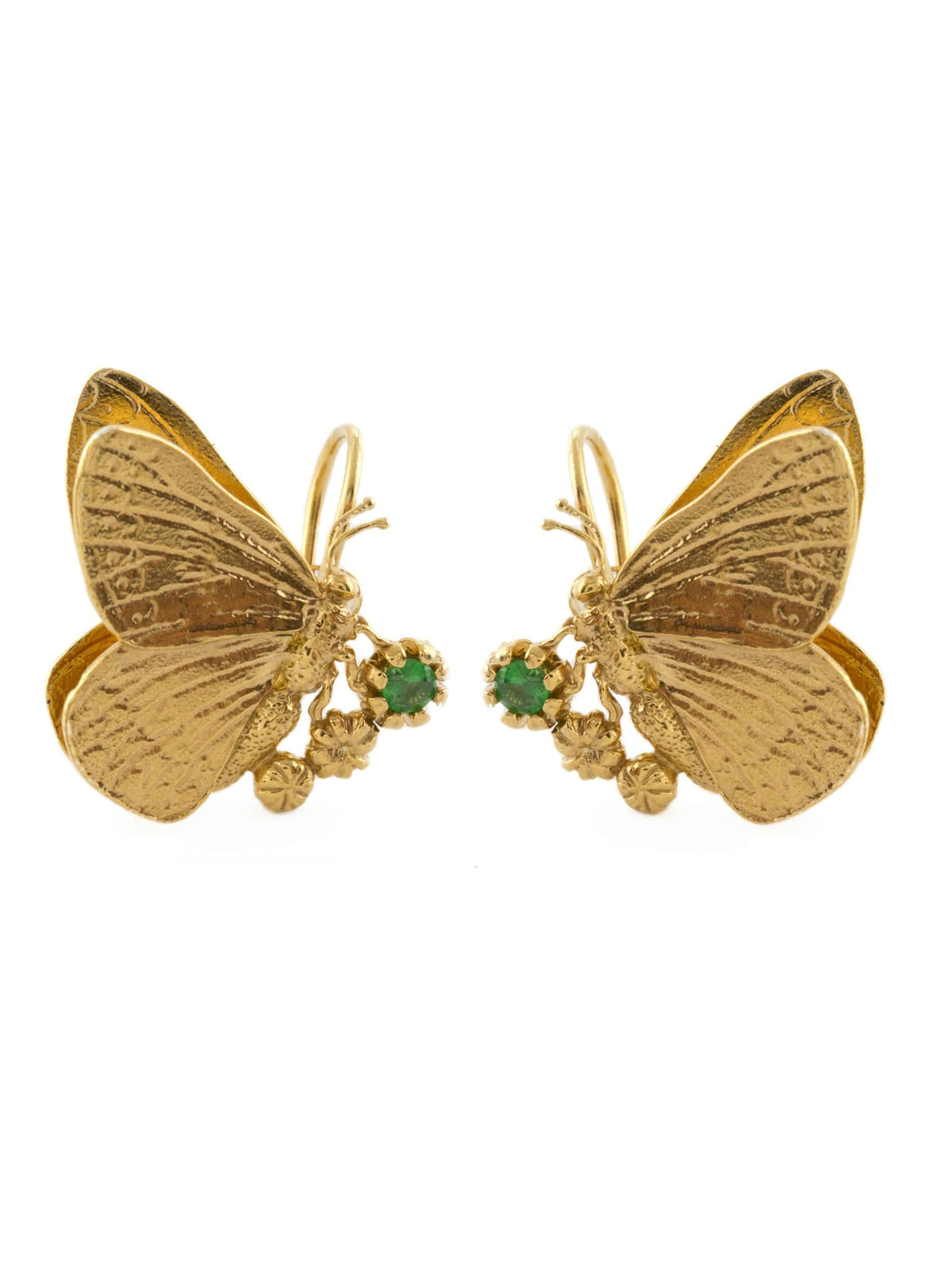 Collection Image
