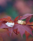 Wrapped Feather Ring - Sterling Silver - 22k Gold over Sterling Silver