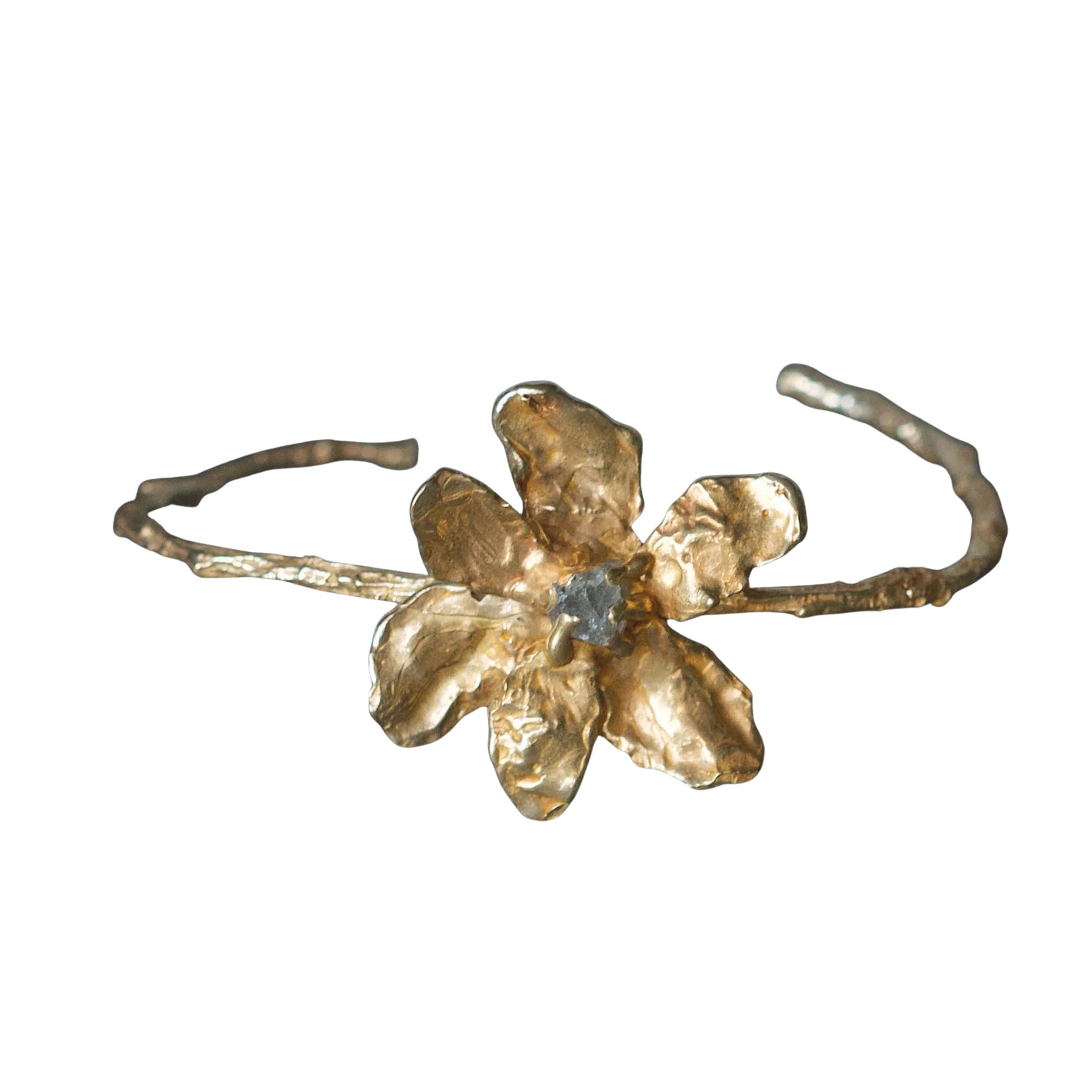 Collection Image