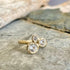 Constellation Ring - 14k Gold + White Sapphire - KMJ Emilie Shapiro Fine Jewelry - Rings