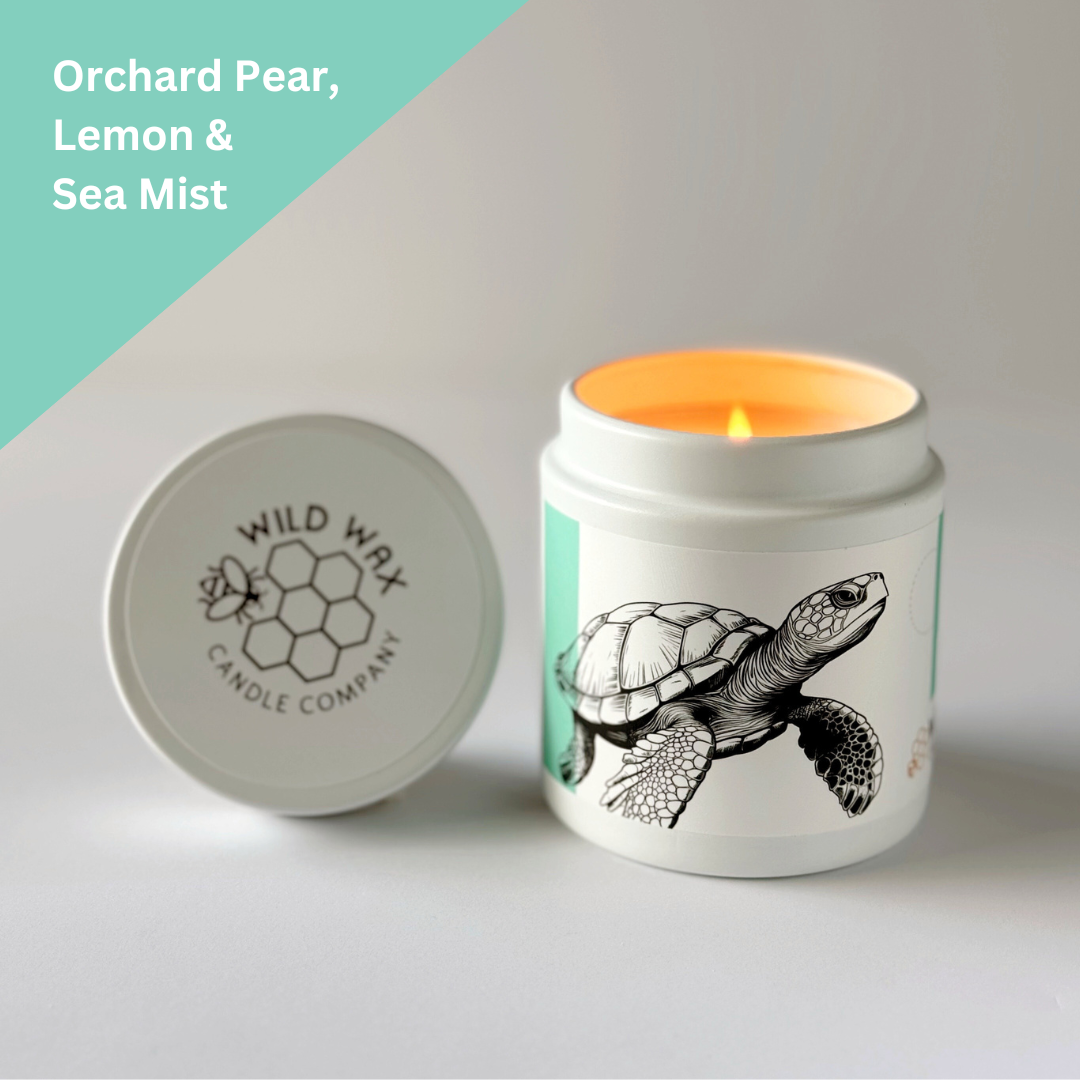 Hawksbill Sea Turtle | 9.0 oz. Candle