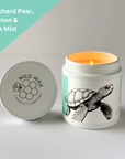 Hawksbill Sea Turtle | 9.0 oz. Candle