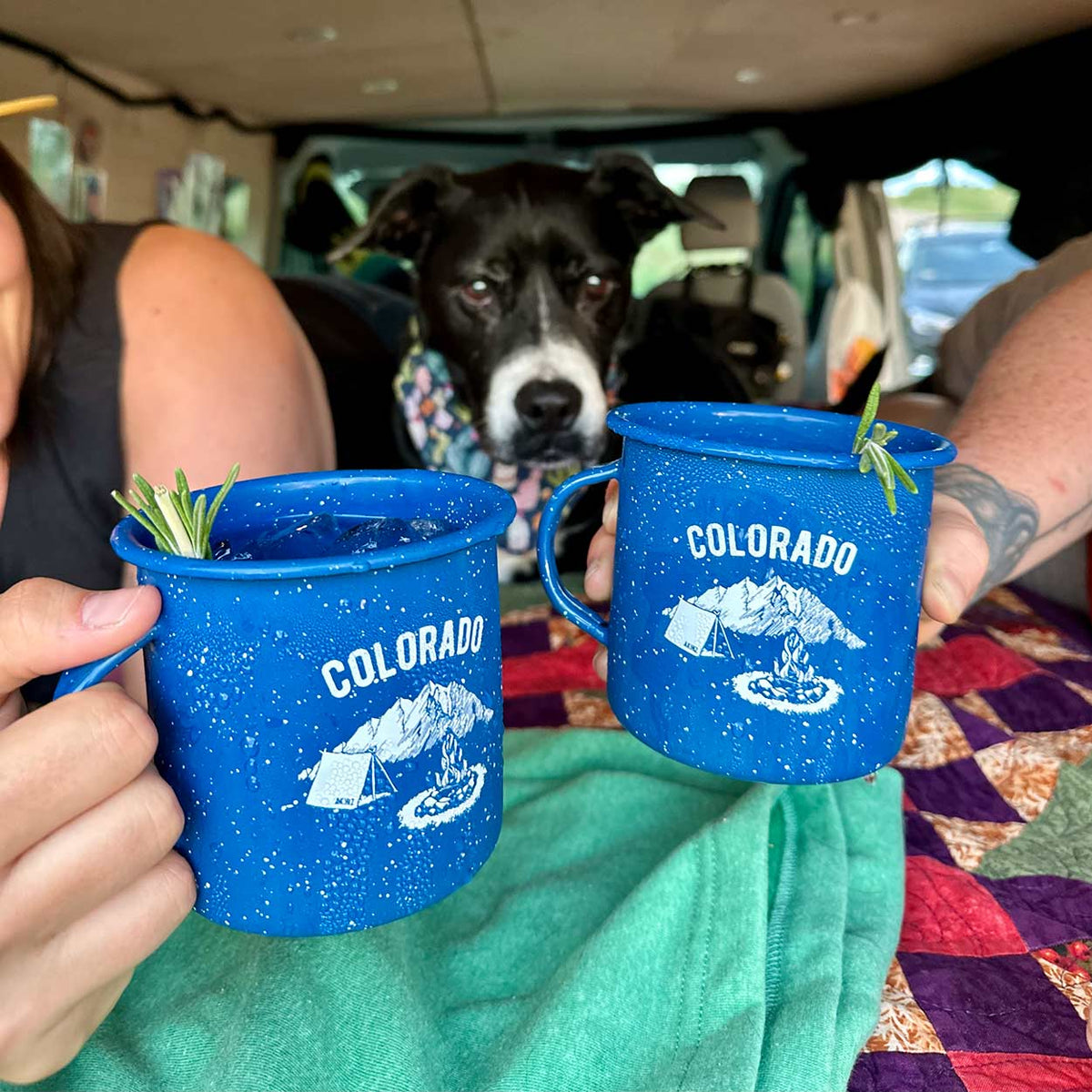 Colorado Campsite Enamel Mug