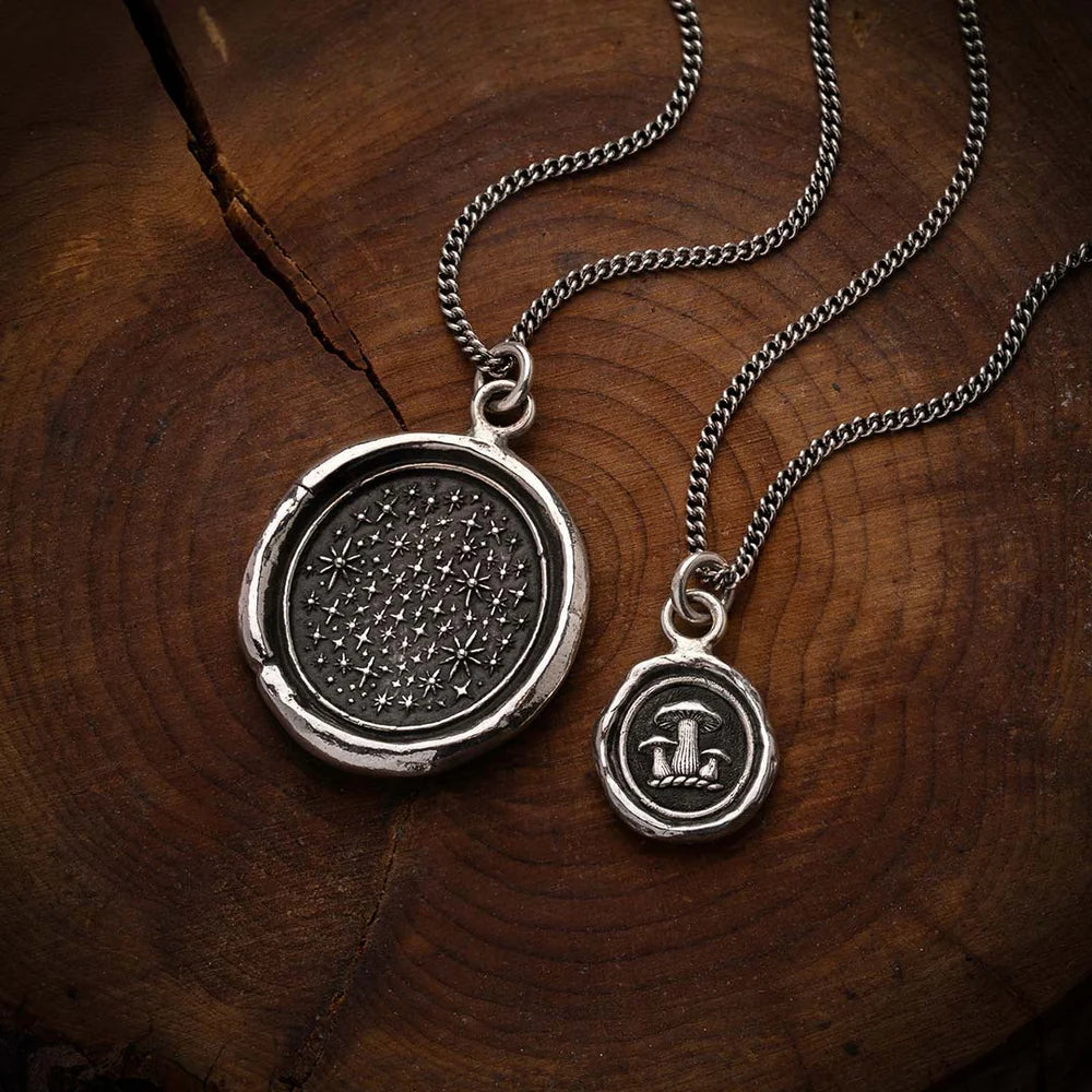 We Are Stardust Talisman - Sterling Silver
