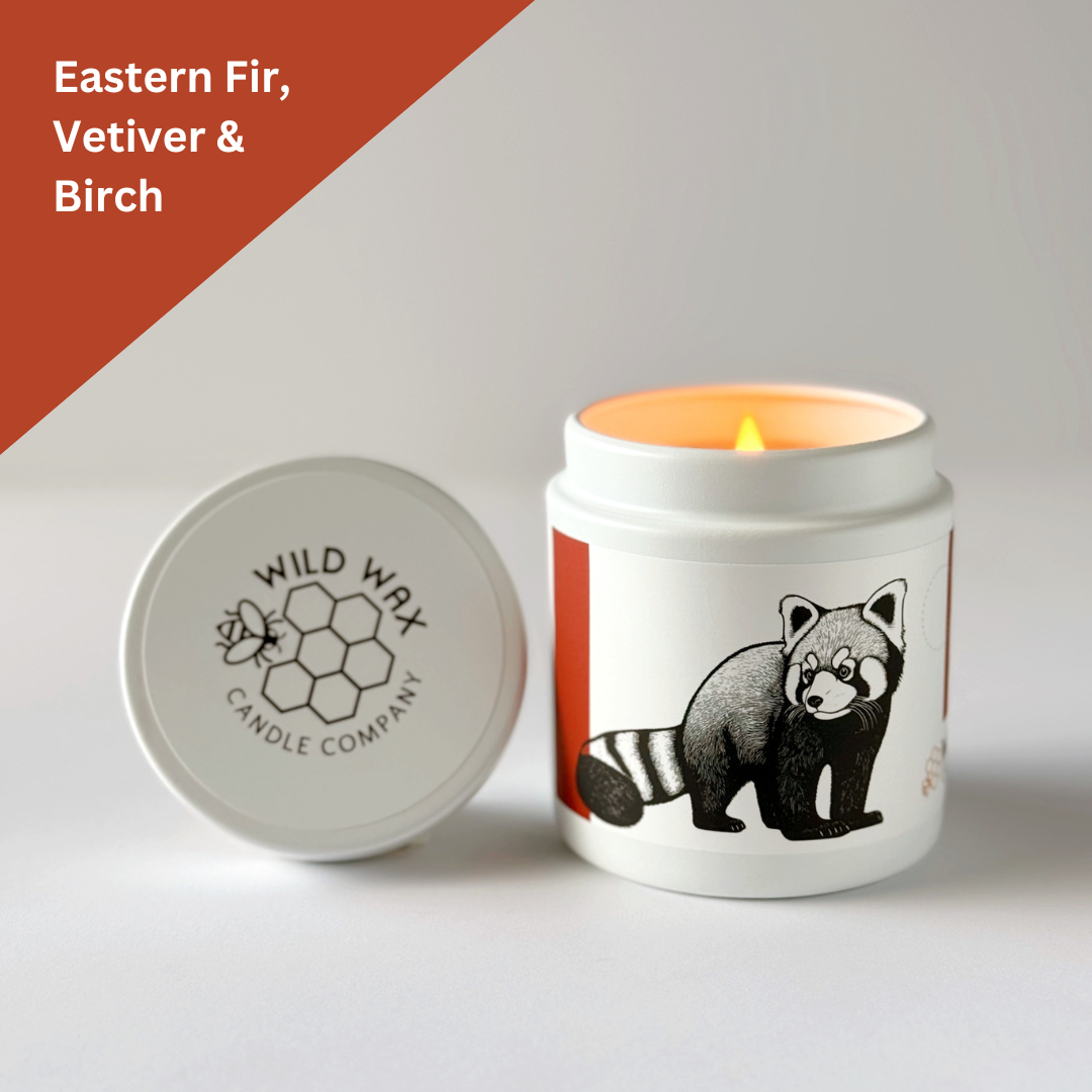 Red Panda | 9.0 oz. Candle