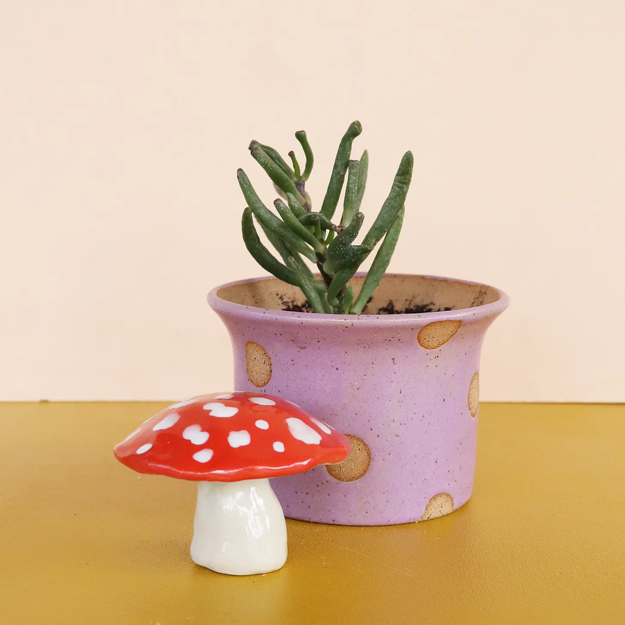 Mini Ceramic Mushroom Sculpture