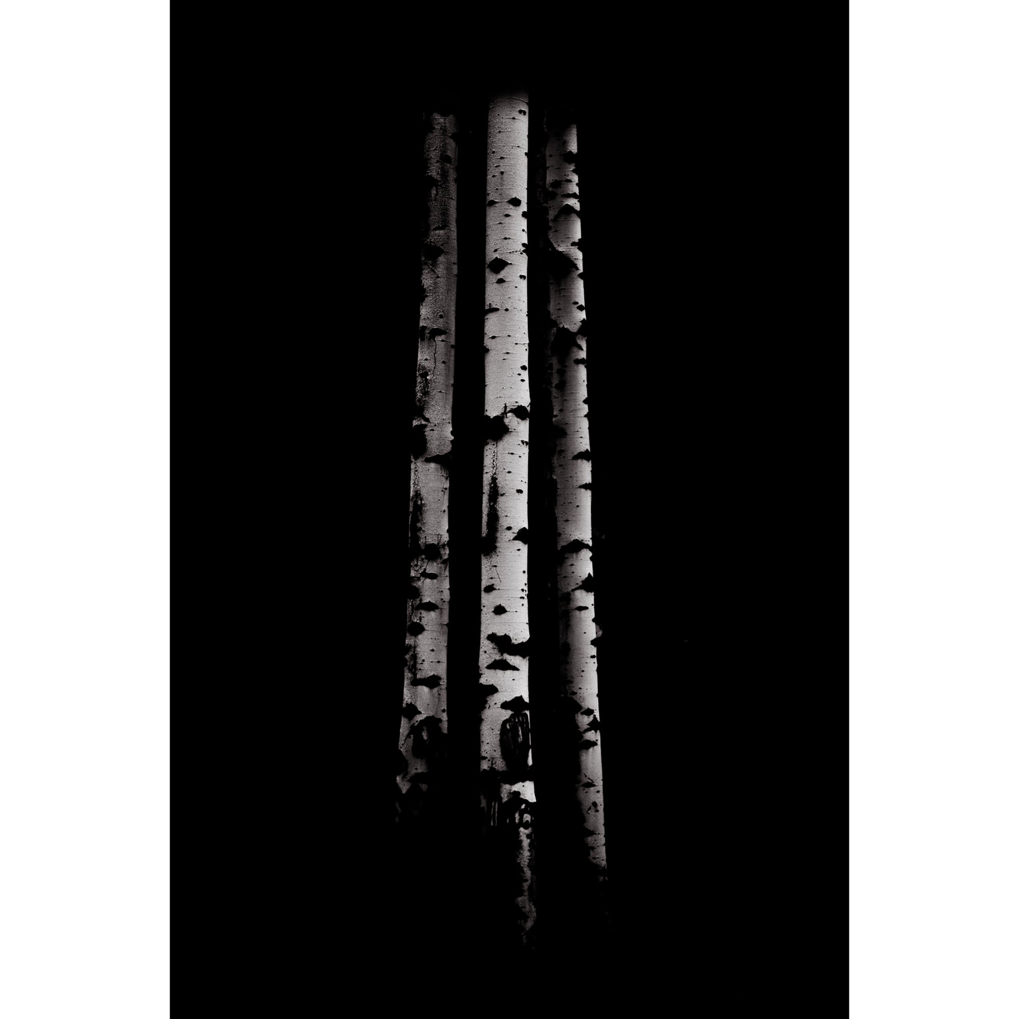 Ansel Aspens No. 1 Print with Mat