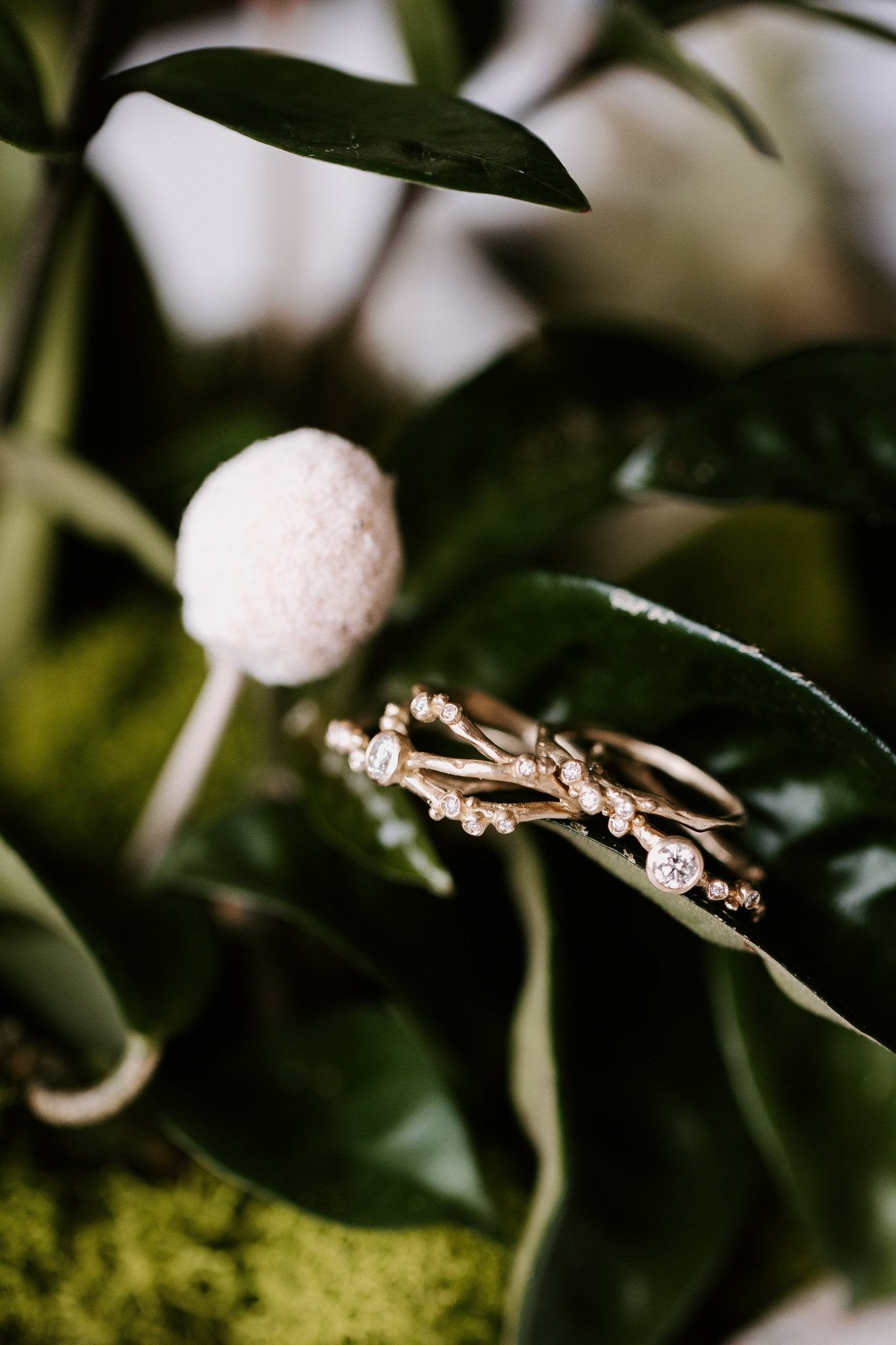 Encrusted 3 Branch Solitaire Diamond Ring - 14k Gold + Diamonds - KMJ Made By Branch Jewelry - Bridal