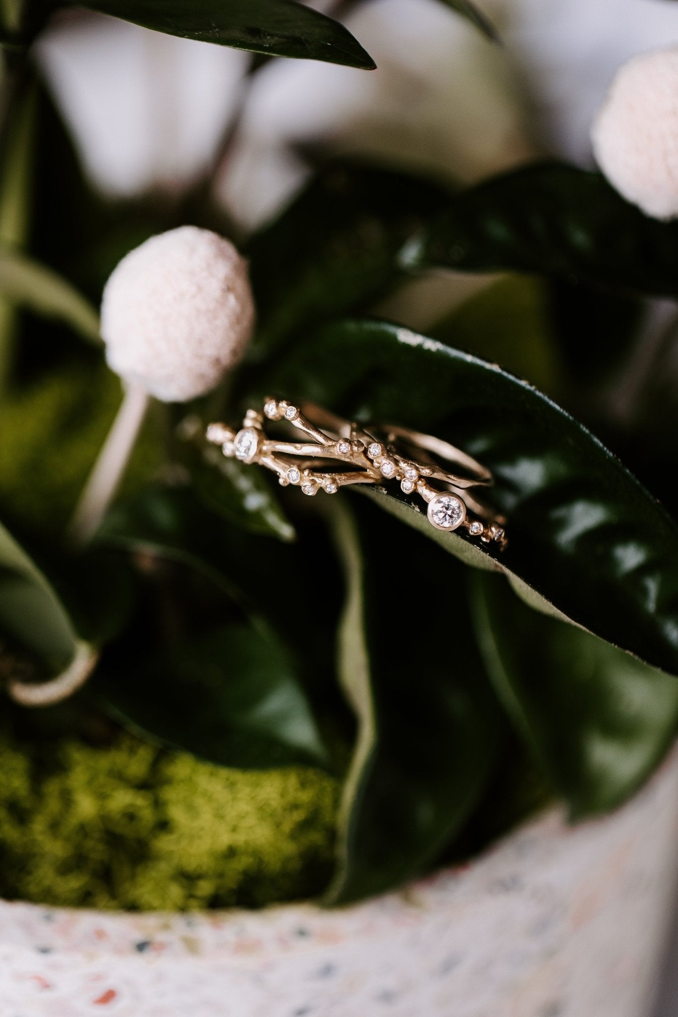 Encrusted 1 Branch Solitaire Diamond Ring - 14k Gold + Diamonds - KMJ Made By Branch Jewelry - Rings
