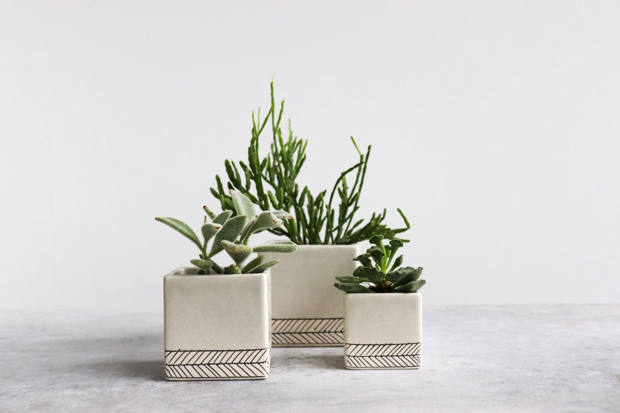 Herringbone Square Planter - Seafoam