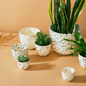 X-Large Planter + Dish - Speckled