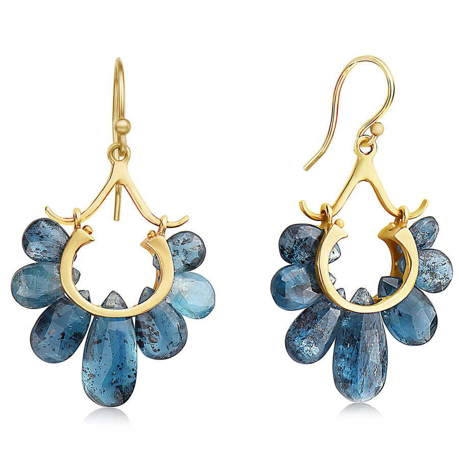 Small Peacock Earrings - 14k Gold + Orissa Kyanite