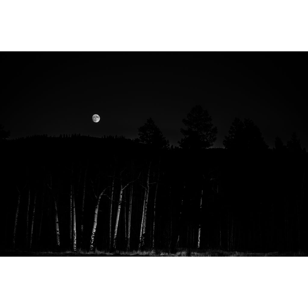 Super Moon over Aspens Kenosha Pass Folded Card KMJ