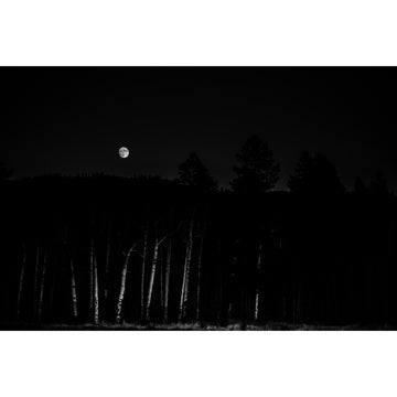 Super Moon over Aspens - Kenosha Pass Print with Mat