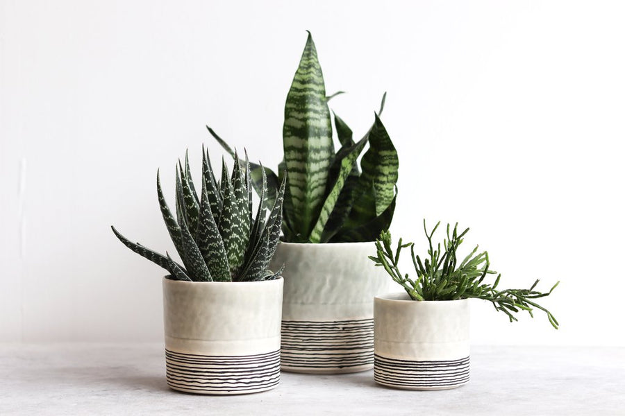 Round Pinched Planter with Stripes - Seafoam