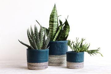 Round Pinched Planter with Stripes - Deep Ocean